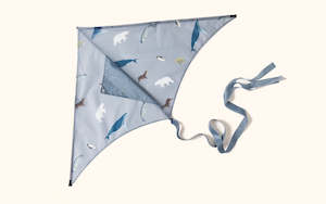 Beach Swim: Arctic Kite - Lofty