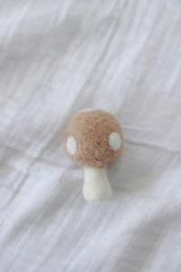 Mushroom Decoration