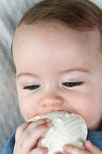 Baby Gifts: Whelk Shell - Teether & Toy