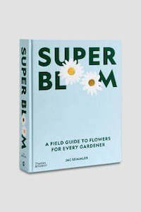 Books Games: Super Bloom