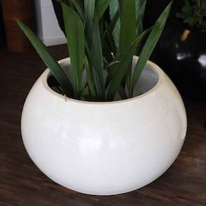 All: Lotus Terrazzo Pot | White