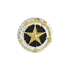 Barbed Wire Star Screw Back Conchos