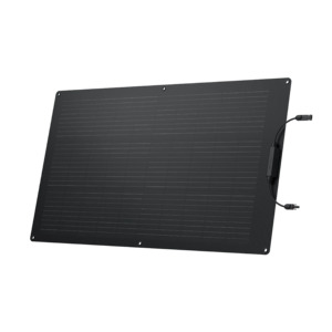 Portable Power: EcoFlow 100W Flexible Solar Panel