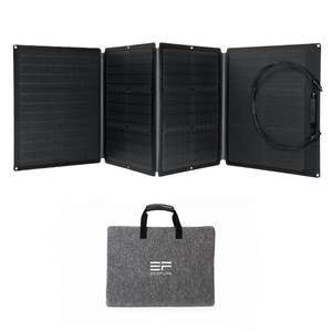 Backup Power: EcoFlow 110W Portable Solar Panel