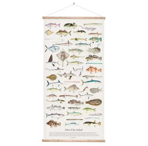 Fishes of New Zealand Wall Chart-Medium