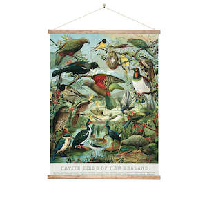 100 Nz: Native Bird of New Zealand Wall Chart
