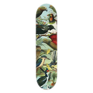 100 Nz: Skateboard Deck - Native Birds of NZ