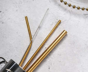 Other Eco Goodies: Stainless Steel  Drinking Straws Set 4
