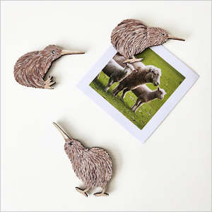 Magnet Pop-Out - Kiwis Set