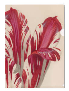 Bekking & Blitz: Bekking & Blitz L Folder Tulips