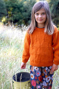 Little Cupcakes Ginger Sweater LF60, 1-10 years 12ply Knitting Pattern