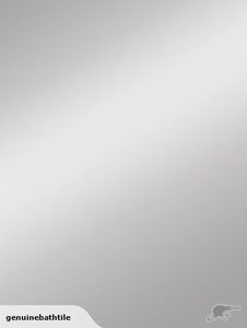 Products: 750mm Flat Mirror