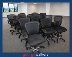 OFFICE CHAIR – ERGONOMIC – MESH BACK – $80 SPECIAL – PR6929