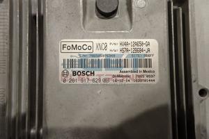Repair Engine Ecu Injection Pumps: Ford Escape  / Kuga 2017 -19 Trottle Issues