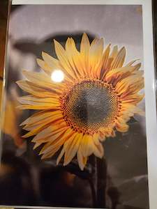 Gift Card - Sunflower