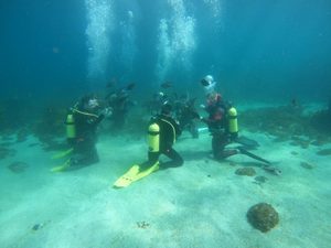 Products: SSI Open Water Dive Course