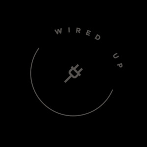 Products: Pre-Purchase Electrical Assessment