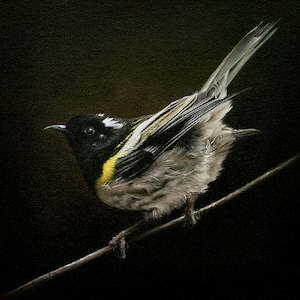 Art: Box Frame Print - Little Ray Of Sunshine