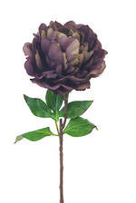 Flowers Foliage: FLOWER SYSTEMS Elsa Peony Spray