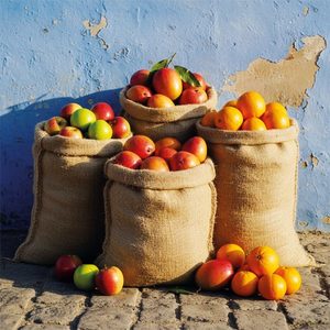 Products: Fruit of Life - Gifted - The Joy of Giving