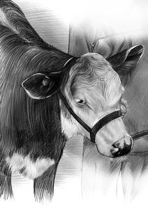 Custom Animal Portrait