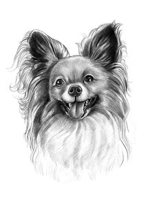Custom Pet Portrait