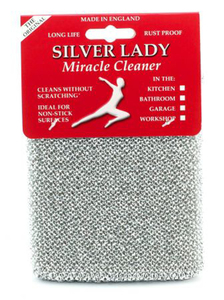 Silver Lady Scourer