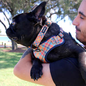 Splosh: Frank Barker Collar - Orange Plaid - M