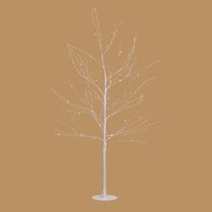 Gifts: White Willow Tree - 120 cm
