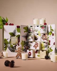 Gifts: Circa 12 Days Advent Calendar