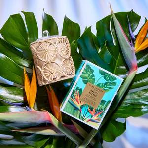 380g Candle - Balmy Breeze - Palo Santo & Fresh Coconut