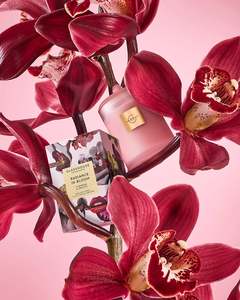 380g Scented Candle - Radiance In Bloom