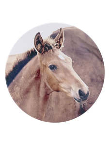 Homeware: Rustic Meadow Foal Ceramic Coaster