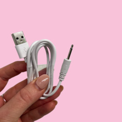 Accessories: Spare USB Charger