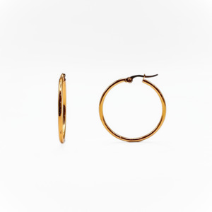 Earrings: Stainless Steel Hoops