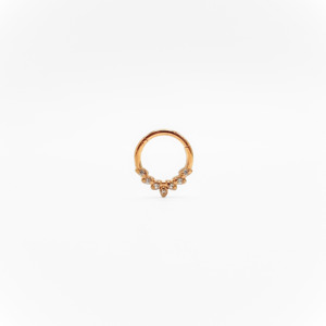 Hoops: Foliole Segment Hoop