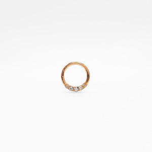 Hoops: Twinkle Segment Hoop