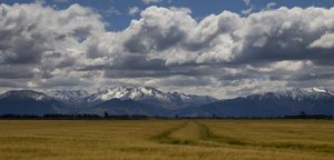 Products: Mountain Wheat Field Glass Art - Glassography & Florals