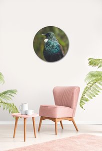 Products: Tui On Watch Circular Glass Art - Glassography & Florals