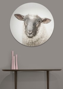 Products: Stella the Sheep Circular Glass Art - Glassography & Florals
