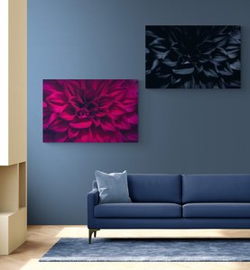 Products: Petal Perfection Twin Images Glass Art - Glassography & Florals