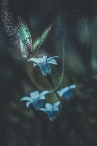 Products: Blue Haze - Glassography & Florals