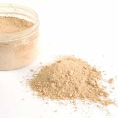 Fusing Supplies: Bullseye Shelf Primer - 500g bag