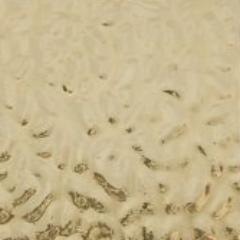 Regency Gold English Muffle T