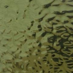 English Muffle: Sussex Green English Muffle T