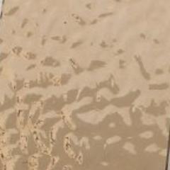 Apricot Beige English Muffle T