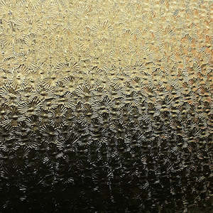 Florentine: Amber Florentine T