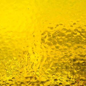 Corella Classic: Cadmium Yellow Corella Classic T