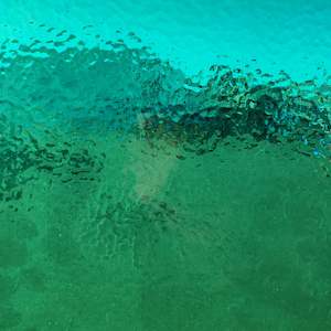 Corella Classic: Medium Yellow-Green Corella Classic T