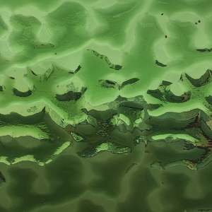 Medium Army Green Flemish T